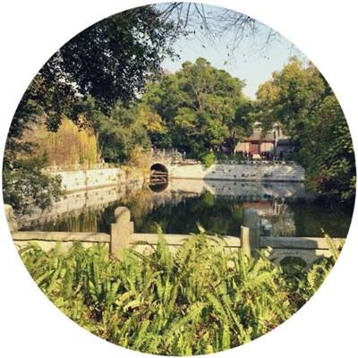 长生逍遥诀变态版下载
